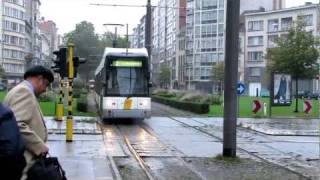 Antwerpen Hermelijn Low Floor Trams [upl. by Jaunita]