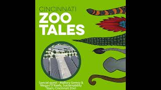 Sustainability at the Cincinnati Zoo [upl. by Eibmab]