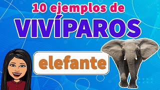 📗🤓10 EJEMPLOS FÁCILES DE Vivíparos 🛑I Los VIVÍPAROS I EJEMPLOS [upl. by Leiva]