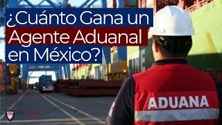 ¿Cuánto Gana un Agente Aduanal en México [upl. by Lukash]