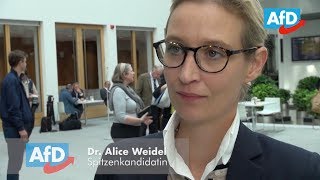 Alice Weidel zum Thema quotFlüchtlingswelle hinterlässt Spurenquot [upl. by Rambort126]