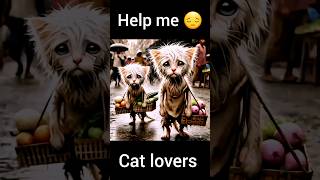 Help me 😔😔 cat lyrics kucing music catlover yellowcat cartoon animation ai shorts [upl. by Leila]