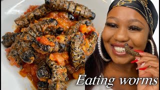 How to cook WORMS  Mopane worms Phane Recipe 2021 mopaneworms [upl. by Kreitman]