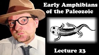 Lecture 23 Early Amphibians of the Paleozoic [upl. by Doownelg]