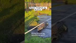 Memes funny progressivephilippines pilipinas politics memes newstoday politika [upl. by Auqinot145]