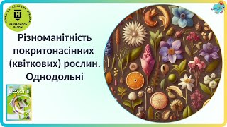 Різноманітність покритонасінних квіткових рослин Однодольні [upl. by Marena]