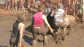 Pig Wrestling at Valmy Thresheree [upl. by Ireland]