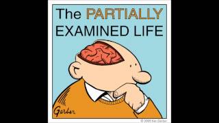 Partially Examined Life podcast  MacIntyre on Moral Theory [upl. by Yorel]