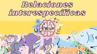 Relaciones INTERespecíficas  Tipos  Ejemplos [upl. by Ellersick650]