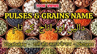 Pulses Name  Pulses and Grains vocabulary  Pulses name in Hindi  Dal k nam vocabulary english [upl. by Nichole]