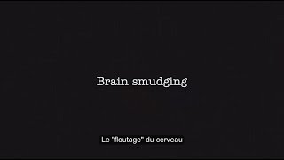 Expliquer la notion de « floutage cérébral » Brain smudging with French subtitles [upl. by Enirod]