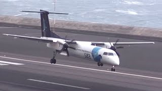 WINDY Landings  Awesome Go Arounds  Madeira International Airport [upl. by Epilef]