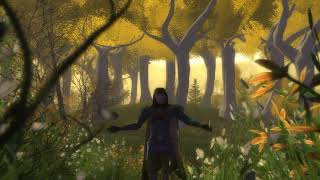 LOTRO Unreleased Soundtrack  Mithlond [upl. by Zaslow]