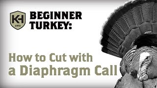 How to Cut on a Diaphragm Call Turkey Calling For Beginners [upl. by Ylaek]