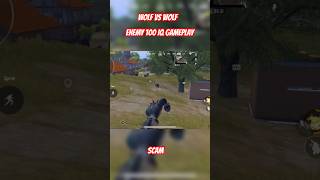 Wolf Vs Wolf  Enemy 100 IQ Gameplay  bgmishorts bgmi pubgmobile pubg [upl. by Ednutey]