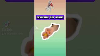 688 Dextérité des doigts En 4 petits jeux de balles 🏐 [upl. by Wenona466]