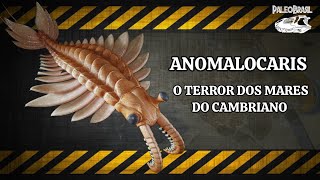 ANOMALOCARIS O TERROR DOS MARES DO CAMBRIANO [upl. by Obeded]