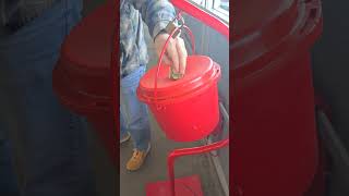 KVOE Bell Ringing For Salavation Army Red Kettle Campaign 112324 [upl. by Aisanahta26]