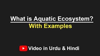 What is Aquatic Ecosystem Urdu  Hindi [upl. by Sifan233]