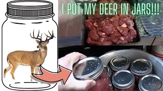 PRESSURE CANNING VENISON  RAW PACK MEAT CANNING [upl. by Assennej348]