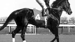 10 greatest race horses [upl. by Otsugua]