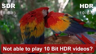 Best 10Bit Movie Player  2019 Media player  iOS Android ampWindows 10 cnxplayer [upl. by Jaymee]