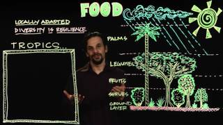 Permaculture Design for Food [upl. by Karlise]