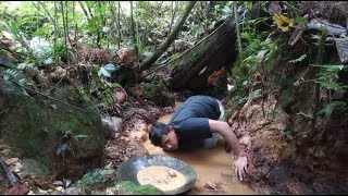 Cara Sederhana Mendulang Emas  Mendulang Emas Di Sungai  Panning Gold [upl. by Erihppas]