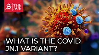 What is the COVID JN1 variant [upl. by Jordanna]