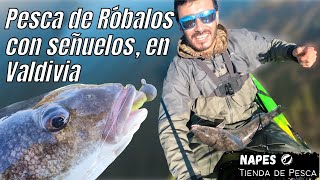 Pesca de Róbalos con Señuelos en Valdivia Chile [upl. by Labotsirhc660]