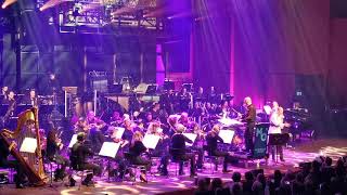 Kovacs amp Metropole Orkest  Fool like you De Oosterpoort Groningen 23112019 [upl. by Sabina835]