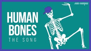 THE HUMAN BONES SONG  Science Music Video [upl. by Euk688]