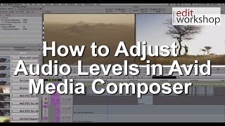 How to Adjust Audio Levels in Avid [upl. by Jules451]