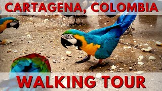 Cartagena Colombia Cruise Port Walking Tour [upl. by Elisabet707]