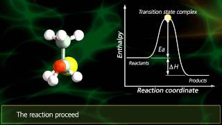 SN2 Reactions  University Of Surrey [upl. by Aneleiram]