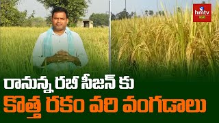 New Rice Varieties రానున్న రబీ సీజన్ కు కొత్త రకం వరి వంగడాలు  hmtv Agri [upl. by Cherrita]