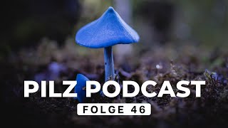 Pilz Podcast Folge 46  Pilze sammeln amp züchten mit drrattenkaiser5275 derpilzfluesterer [upl. by Notnarb]