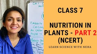 Learn Science with Neha  Class7  Nutrition in Plants  PART 2 NCERT [upl. by Arodnap]