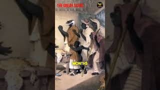 Fear and Folklore The 1818 Obeah Scare in Jamaica [upl. by Quackenbush]