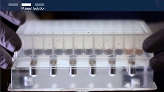 How to isolate total RNA using magnetic bead–based technology [upl. by Kirenoj481]