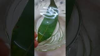 How to see Stomata viralshorts trendingbiologyscienceexperiment [upl. by Merth]