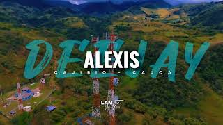 EL BIGOTE REMIX  LA SONORA DINAMITA  DJ ALEXIS  SILVIA CAUCA🔥🕺💃🥵 [upl. by Nileuqcaj585]