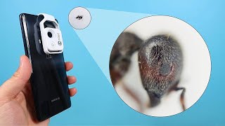 Compré un MICROSCOPIO para SMARTPHONE y miré dentro de los OJOS de una HORMIGA ¡y mucho más [upl. by Leirbag]