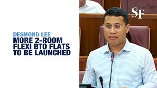 HDB to launch more 2room flexi BTO flats  In Parliament [upl. by Eniamraj984]