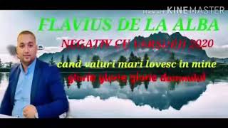 Negativ amp versuri valuri mari lovesc in mine  Flavius de la alba nou 2020 [upl. by Fabiano536]