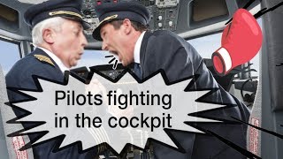 Pilots FIGHTING in the cockpit  Mentour Pilot explains [upl. by Martelli364]