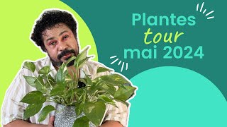 PLANTES TOUR MAI 2024 [upl. by Nivlad]