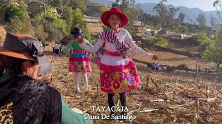 Herranza de vacas en SALCAHUASI ♥️🥰🇵🇪 familia Quincho Mayta 🤗🤗 25 de julio [upl. by Condon467]