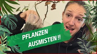 Pflanzen ausmisten Pflanzenwahnsinn [upl. by Zeta]