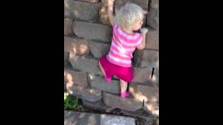 2 year old girl climbing a rock wall [upl. by Naeloj929]